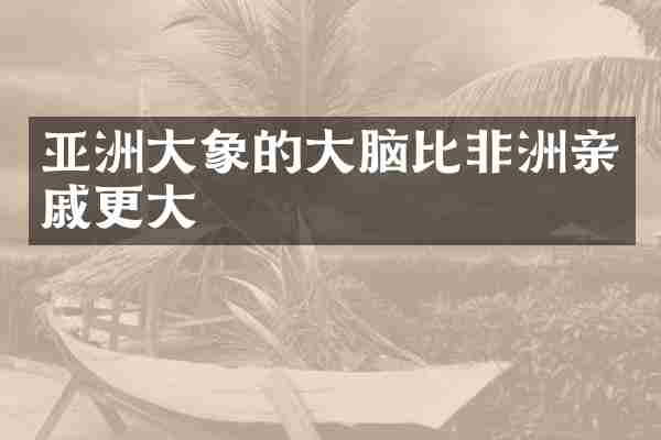 亚洲大象的大脑比非洲亲戚更大