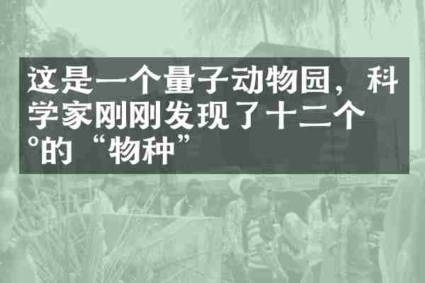 这是一个量子动物园，科学家刚刚发现了十二个新的&ldquo;物种&rdquo;