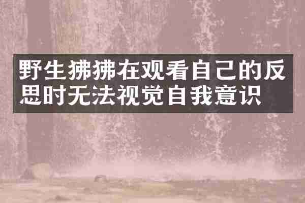 野生狒狒在观看自己的反思时无法视觉自我意识