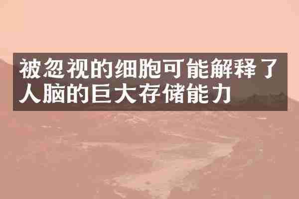 被忽视的细胞可能解释了人脑的巨大存储能力