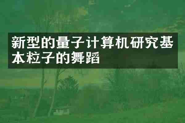 新型的量子计算机研究基本粒子的舞蹈