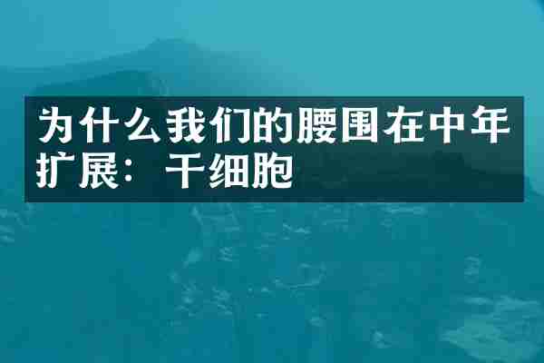 为什么我们的腰围在中年扩展：干细胞