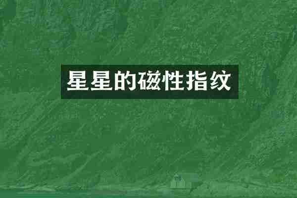 星星的磁性指纹