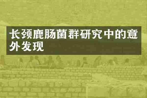 长颈鹿肠菌群研究中的意外发现