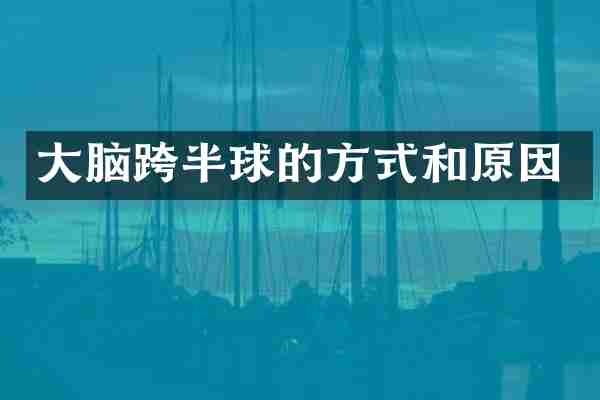 大脑跨半球的方式和原因