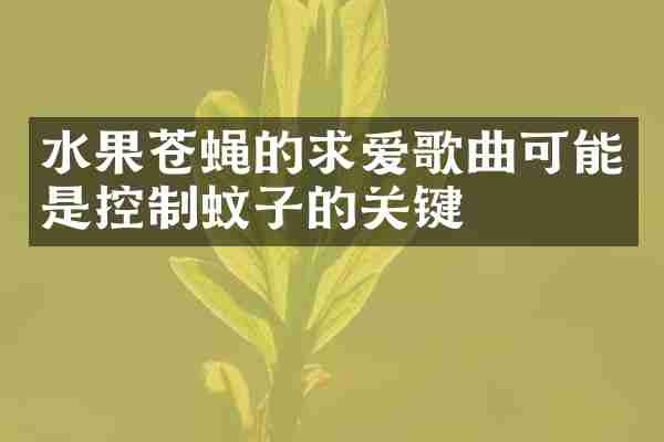 水果苍蝇的求爱歌曲可能是控制蚊子的关键