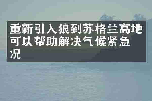 重新引入狼到苏格兰高地可以帮助解决气候紧急情况