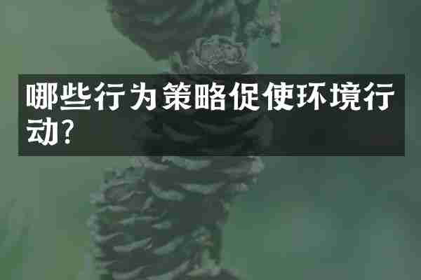 哪些行为策略促使环境行动？