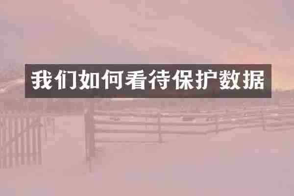我们如何看待保护数据