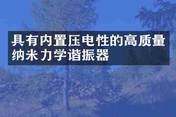 具有内置压电性的高质量纳米力学谐振器