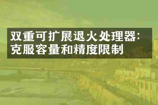 双重可扩展退火处理器：克服容量和精度限制