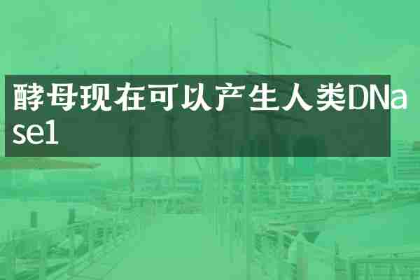 酵母现在可以产生人类DNase1