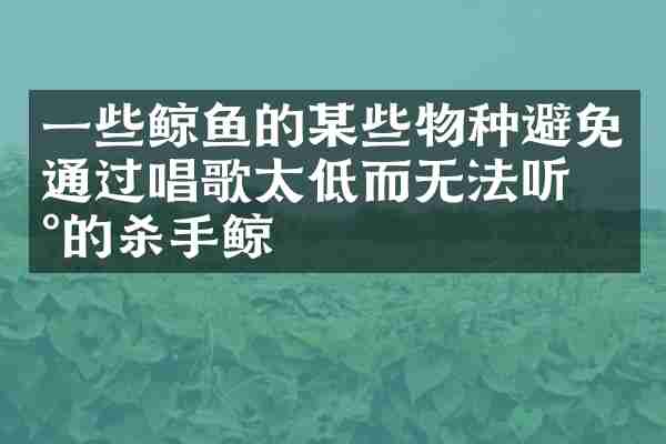 一些鲸鱼的某些物种避免通过唱歌太低而无法听到的杀手鲸