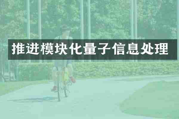 推进模块化量子信息处理