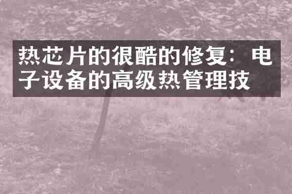 热芯片的很酷的修复：电子设备的高级热管理技术