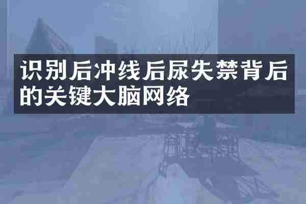 识别后冲线后尿失禁背后的关键大脑网络