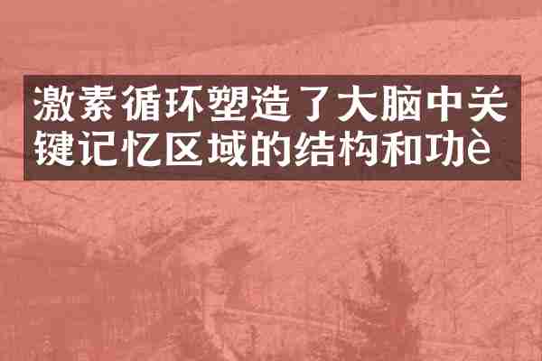 激素循环塑造了大脑中关键记忆区域的结构和功能