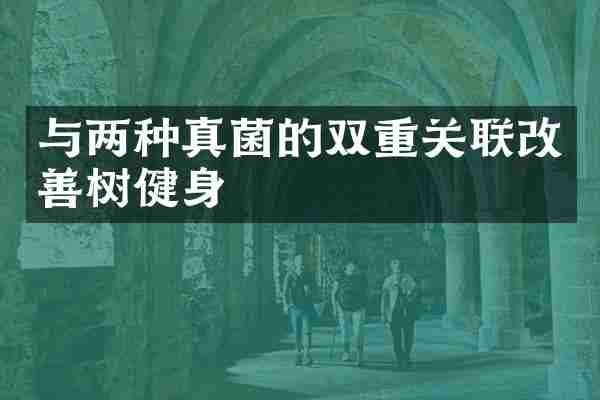与两种真菌的双重关联改善树健身