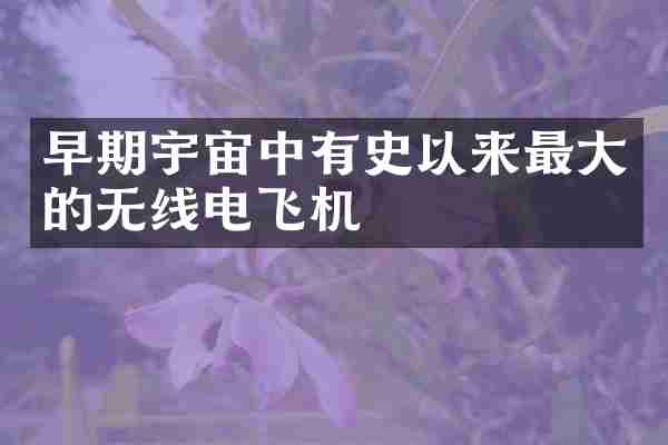 早期宇宙中有史以来最大的无线电飞机