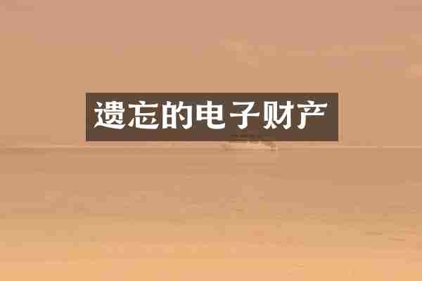 遗忘的电子财产