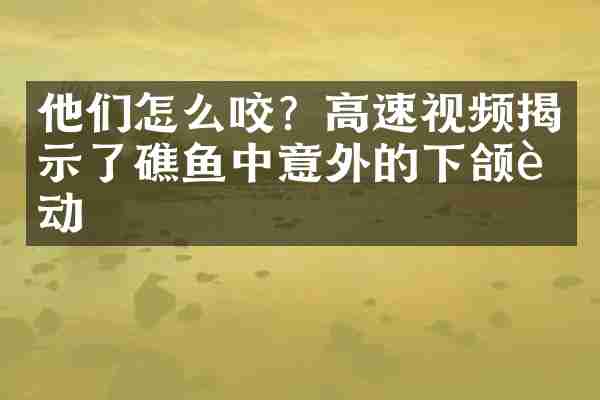 他们怎么咬？高速视频揭示了礁鱼中意外的下颌运动