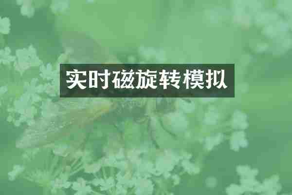 实时磁旋转模拟