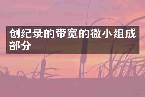 创纪录的带宽的微小组成部分