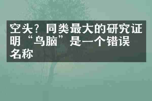 空头?同类最大的研究证明“鸟脑”是一个错误的名称