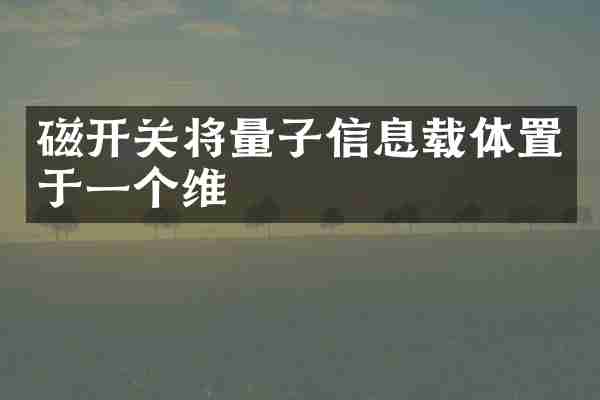 磁开关将量子信息载体置于一个维