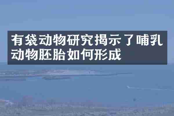 有袋动物研究揭示了哺乳动物胚胎如何形成