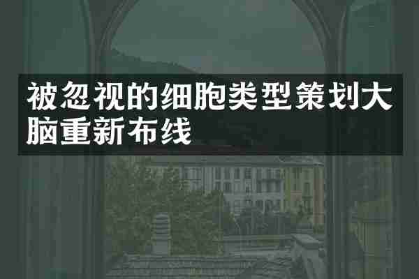 被忽视的细胞类型策划大脑重新布线