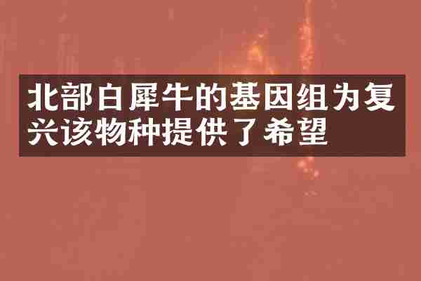 北部白犀牛的基因组为复兴该物种提供了希望