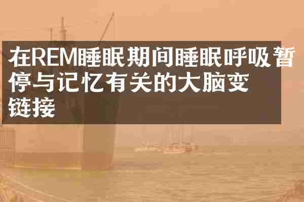 在REM睡眠期间睡眠呼吸暂停与记忆有关的大脑变化链接