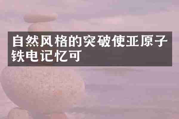 自然风格的突破使亚原子铁电记忆可