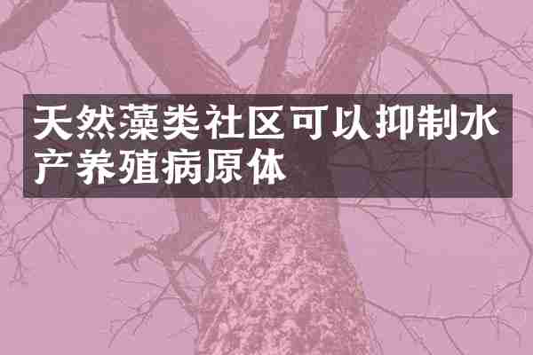天然藻类社区可以抑制水产养殖病原体