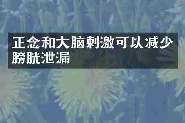正念和大脑刺激可以减少膀胱泄漏