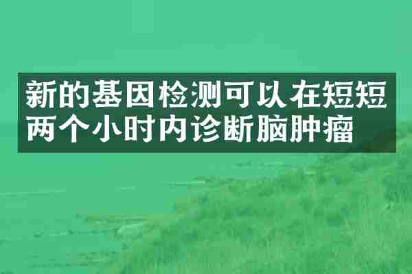 新的基因检测可以在短短两个小时内诊断脑肿瘤