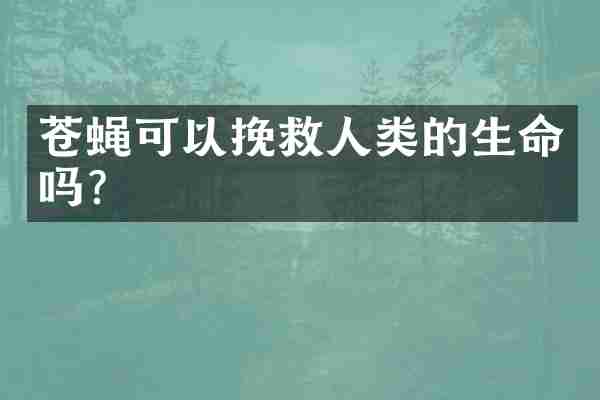苍蝇可以挽救人类的生命吗？