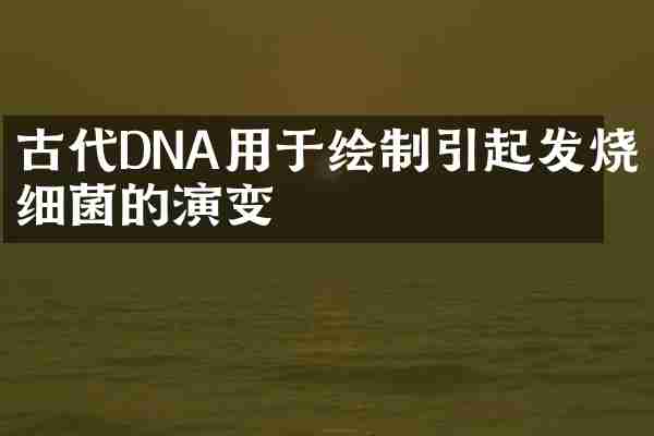 古代DNA用于绘制引起发烧细菌的演变
