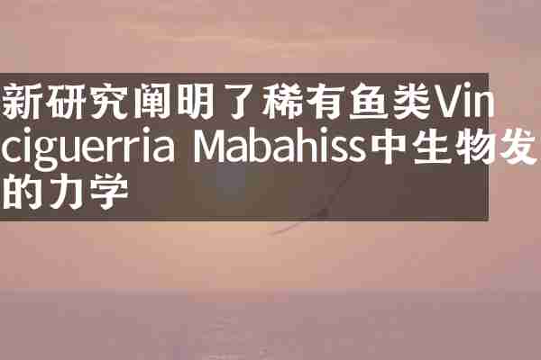 新研究阐明了稀有鱼类Vinciguerria Mabahiss中生物发光的力学
