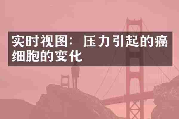 实时视图：压力引起的癌细胞的变化