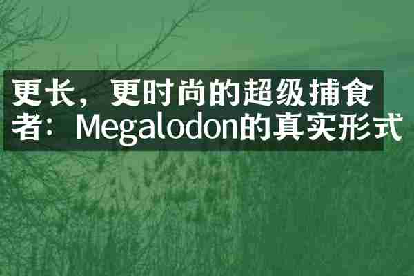更长，更时尚的超级捕食者：Megalodon的真实形式