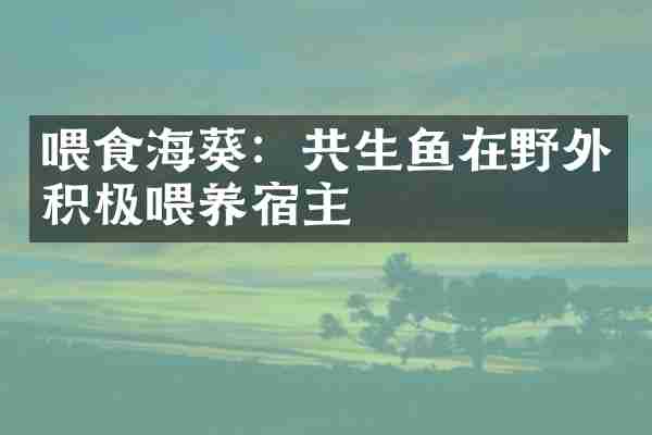 喂食海葵：共生鱼在野外积极喂养宿主