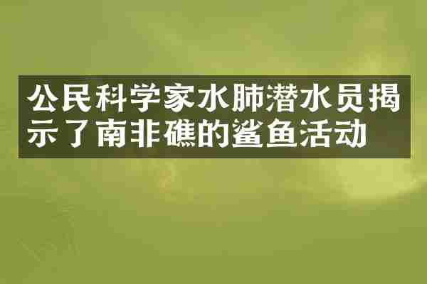 公民科学家水肺潜水员揭示了南非礁的鲨鱼活动