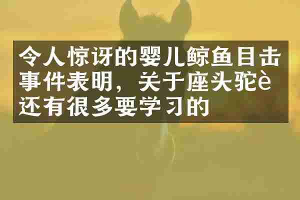令人惊讶的婴儿鲸鱼目击事件表明，关于座头驼背还有很多要学习的