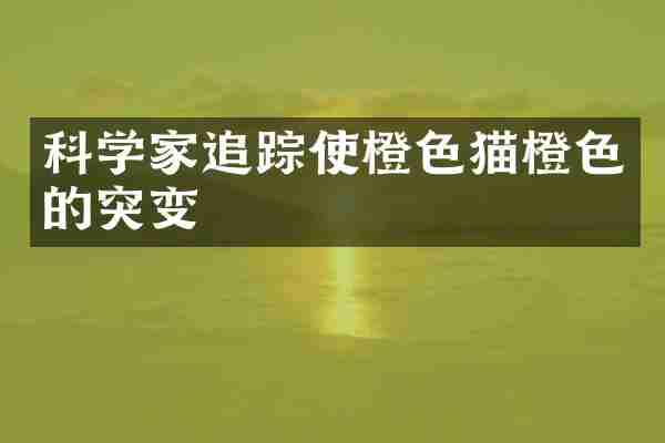 科学家追踪使橙色猫橙色的突变