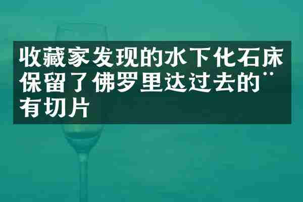 收藏家发现的水下化石床保留了佛罗里达过去的稀有切片