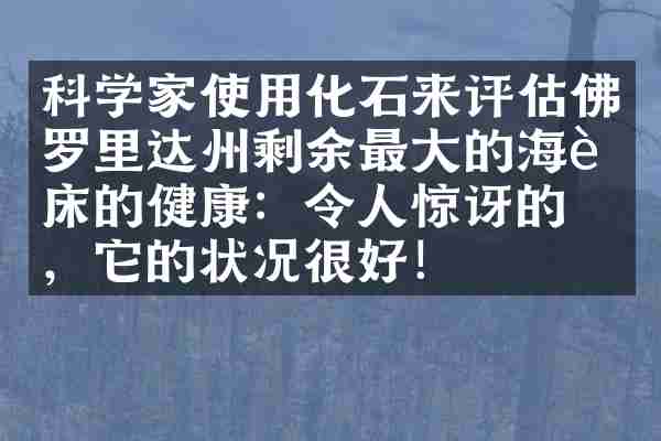 科学家使用化石来评估佛罗里达州剩余最大的海草床的健康：令人惊讶的是，它的状况很好！