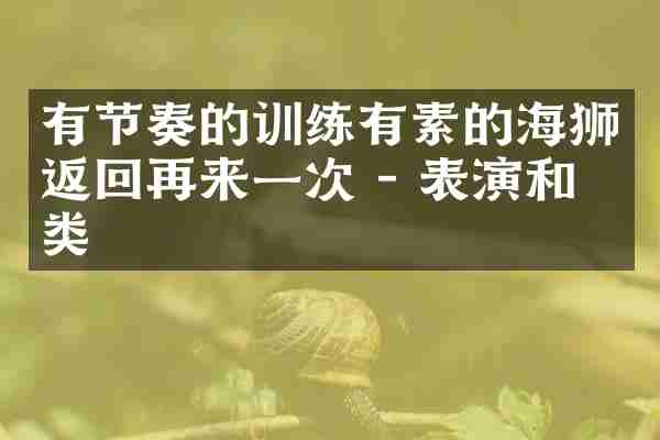 有节奏的训练有素的海狮返回再来一次 - 表演和人类