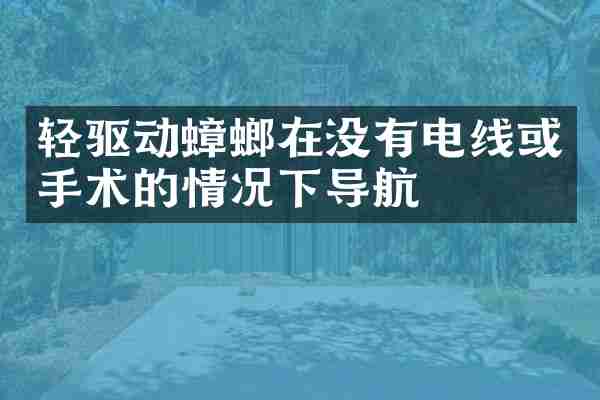 轻驱动蟑螂在没有电线或手术的情况下导航